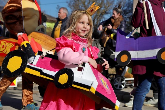 Narrentreiben 2025 (Fotos Rochus Hetzendorfer)